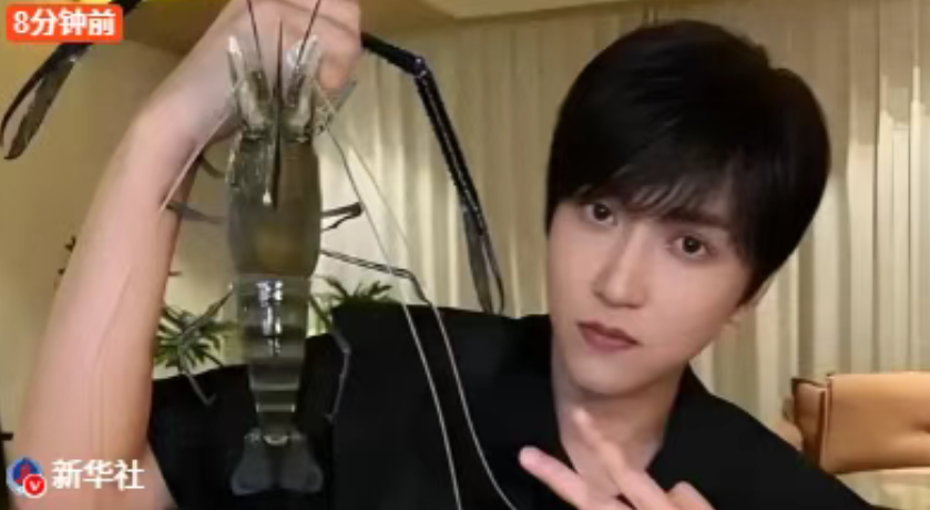 图片[3]-顶流网红「白冰」落网，偷漏税900多万，4000万粉丝一夜凉凉！-吃瓜网