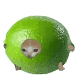 图片[7]-游戏女主播因为睡过头不去直播，被网友谴责后，直播下跪磕头，前老板评价其是个又蠢又懒的女人！-吃瓜网