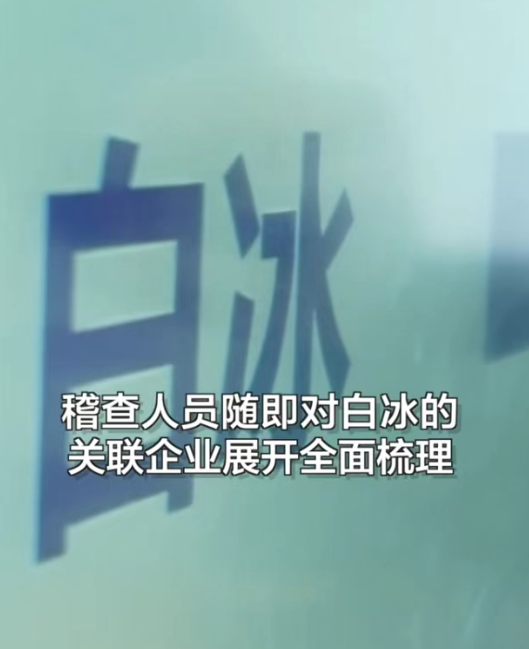 图片[15]-顶流网红「白冰」落网，偷漏税900多万，4000万粉丝一夜凉凉！-吃瓜网