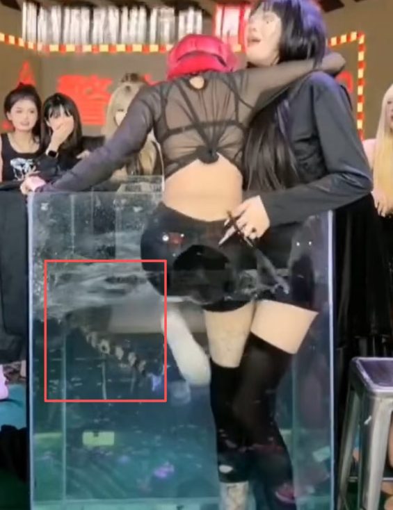 图片[16]-直播间把未成年女孩扔进“鳄鱼缸”的未成年女主播，号没了……-吃瓜网